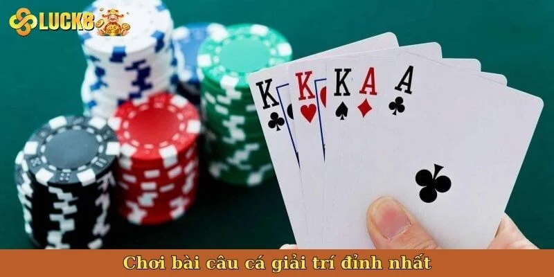 choi-bai-cau-ca-giai-tri-dinh-nhat