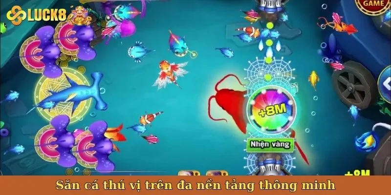 san-ca-thu-vi-tren-da-nen-tang-thong-minh