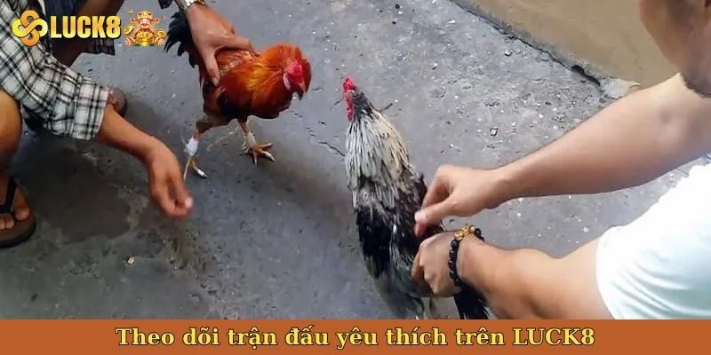 theo-doi-tran-dau-yeu-thich-tren-luck8